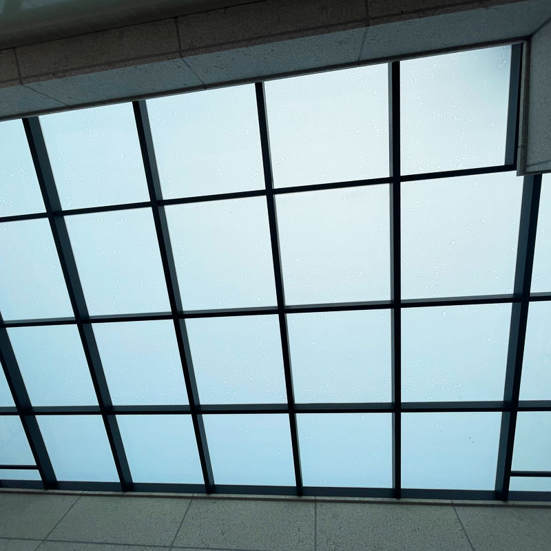 dg_case_2021072310_2.jpg